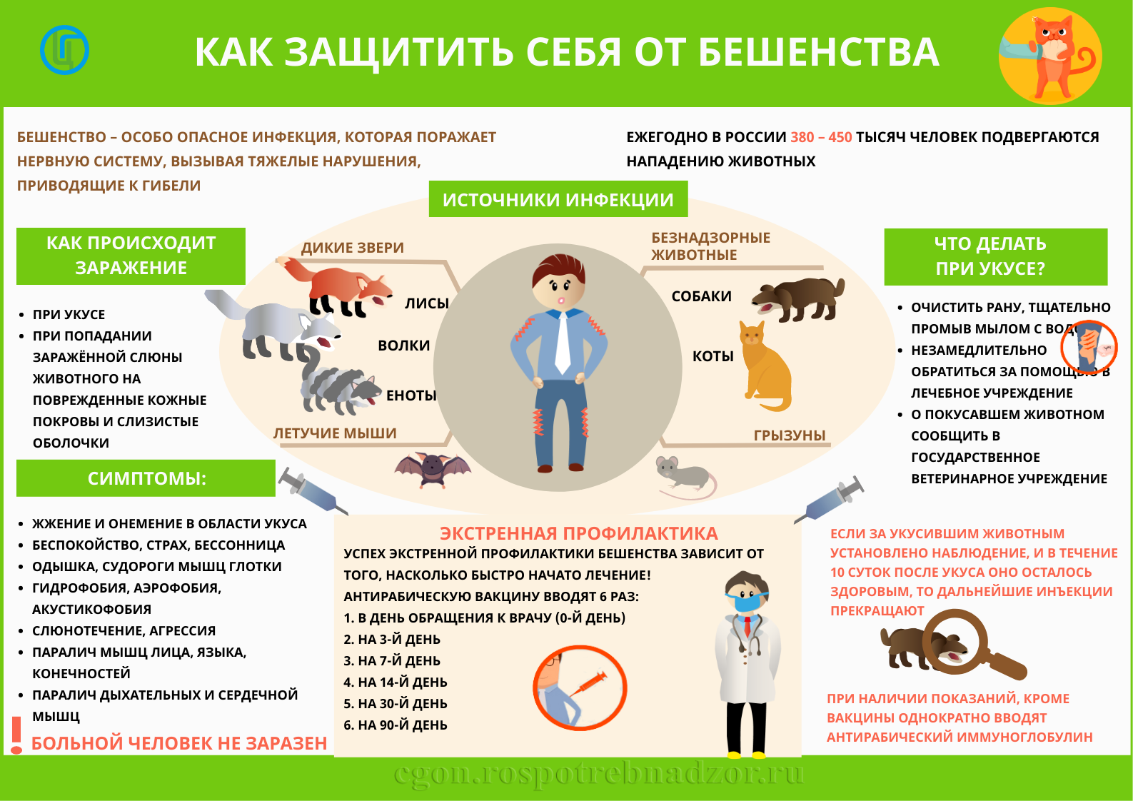 Памятка для населения по профилактике бешенства