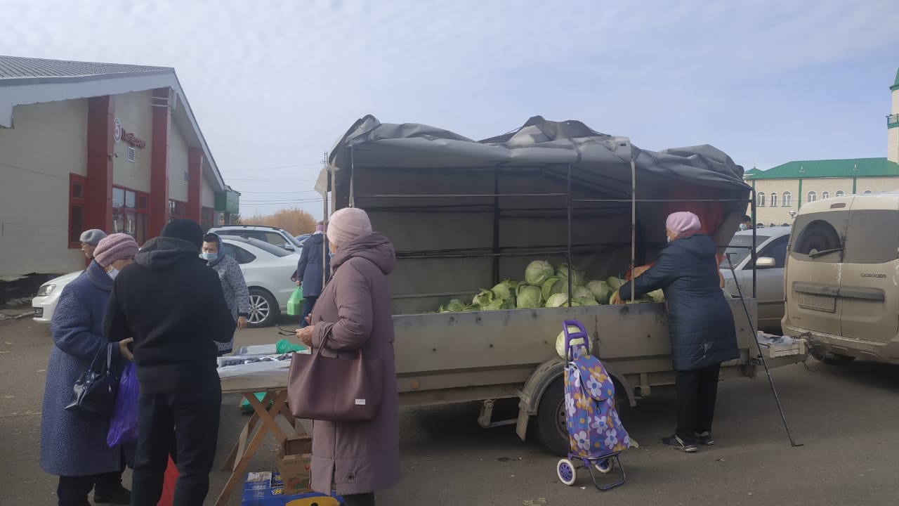 Стартовали традиционные сельскохозяйственные ярмарки